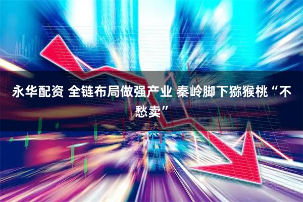 永华配资 全链布局做强产业 秦岭脚下猕猴桃“不愁卖”