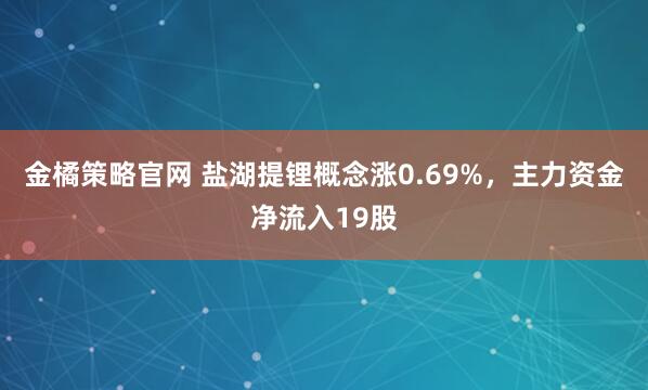 金橘策略官网 盐湖提锂概念涨0.69%，主力资金净流入19股