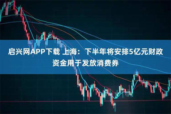 启兴网APP下载 上海：下半年将安排5亿元财政资金用于发放消费券